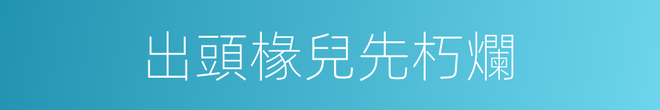 出頭椽兒先朽爛的意思
