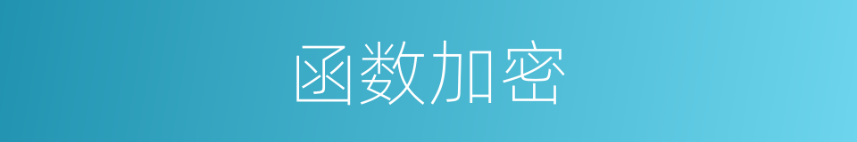 函数加密的同义词