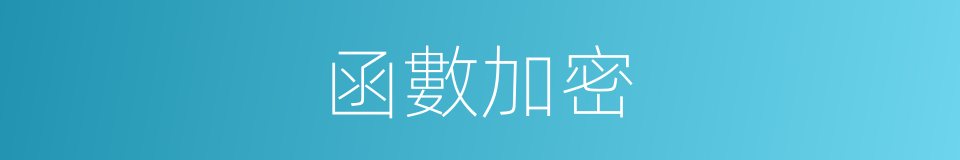 函數加密的同義詞