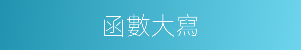 函數大寫的意思