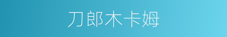 刀郎木卡姆的同义词