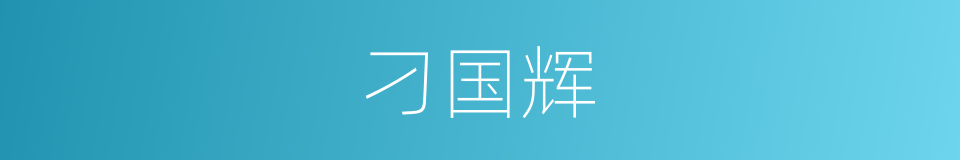 刁国辉的同义词