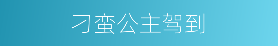 刁蛮公主驾到的同义词
