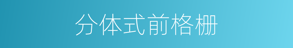 分体式前格栅的同义词
