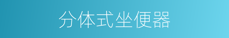 分体式坐便器的同义词
