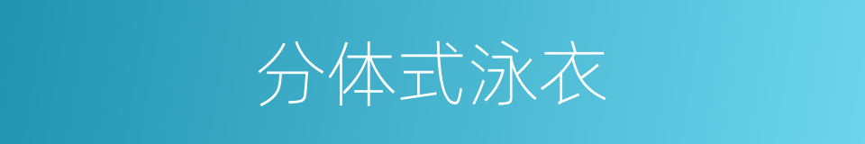 分体式泳衣的同义词