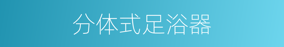 分体式足浴器的同义词