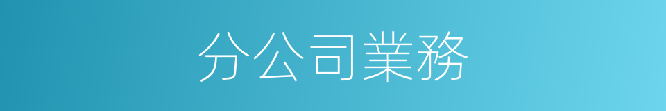 分公司業務的同義詞