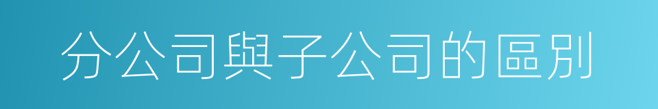 分公司與子公司的區別的同義詞
