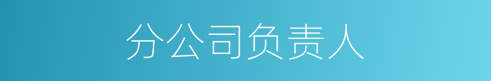 分公司负责人的同义词