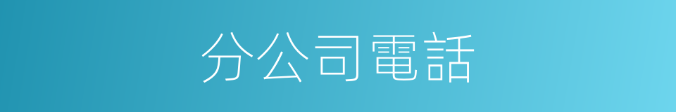 分公司電話的同義詞