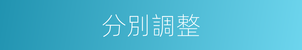 分別調整的意思