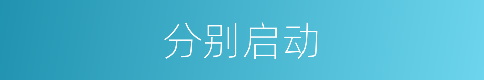 分别启动的意思