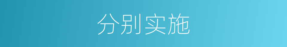 分别实施的意思