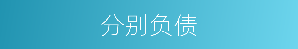 分别负债的意思