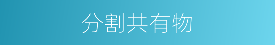 分割共有物的同义词