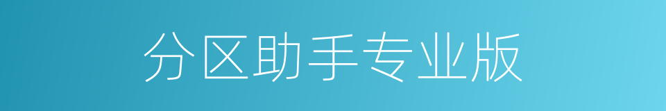 分区助手专业版的同义词