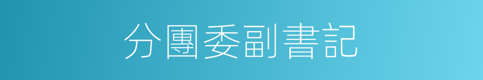 分團委副書記的同義詞