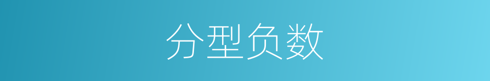 分型负数的同义词