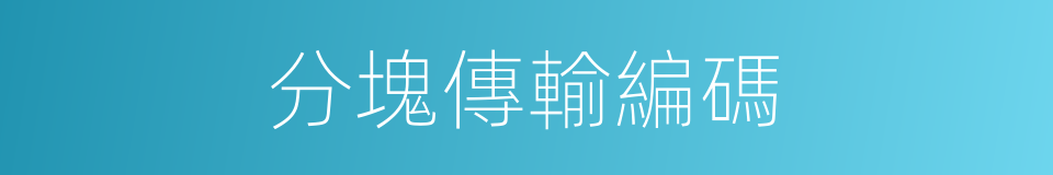 分塊傳輸編碼的同義詞