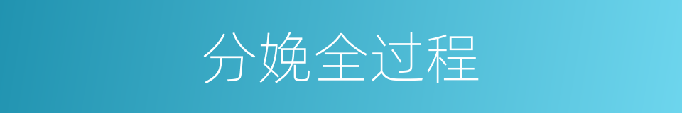 分娩全过程的同义词