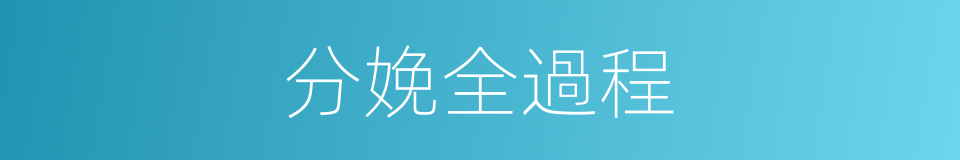 分娩全過程的同義詞