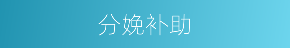 分娩补助的同义词