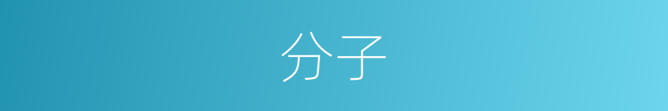 分子的意思