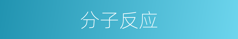 分子反应的同义词