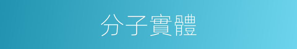 分子實體的同義詞