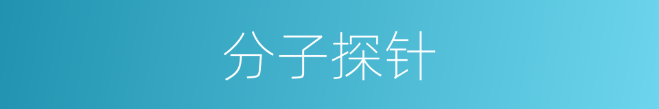 分子探针的同义词