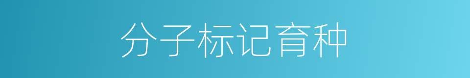 分子标记育种的同义词