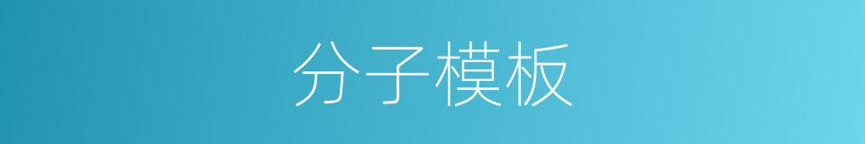 分子模板的同义词