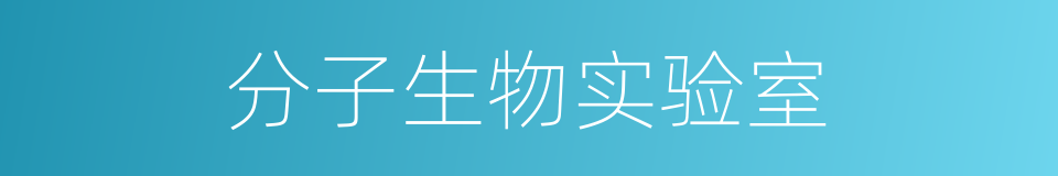 分子生物实验室的同义词