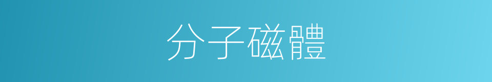 分子磁體的同義詞