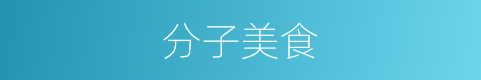 分子美食的同义词