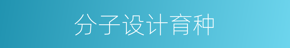 分子设计育种的同义词