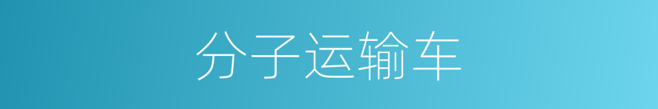 分子运输车的同义词