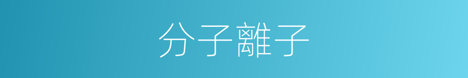 分子離子的同義詞