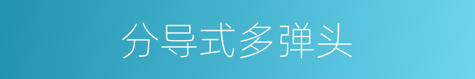 分导式多弹头的同义词