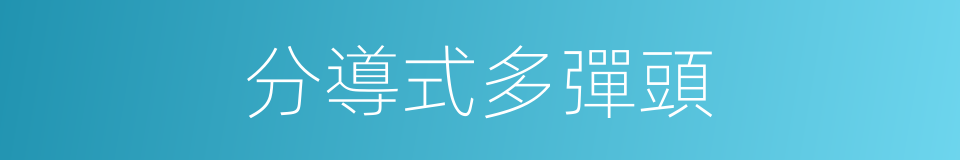 分導式多彈頭的同義詞