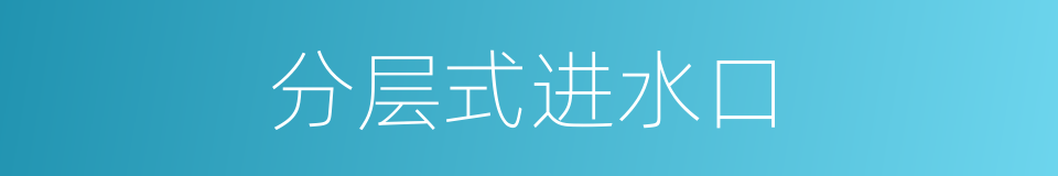 分层式进水口的同义词
