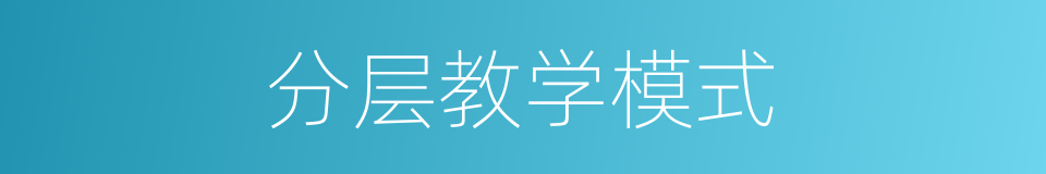 分层教学模式的同义词