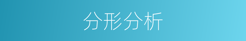 分形分析的同义词