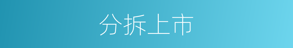 分拆上市的同义词