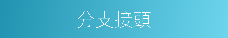 分支接頭的同義詞
