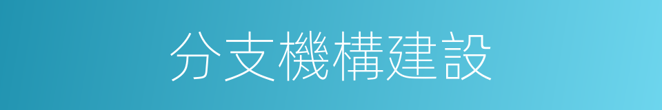 分支機構建設的同義詞