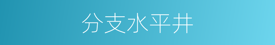 分支水平井的同义词