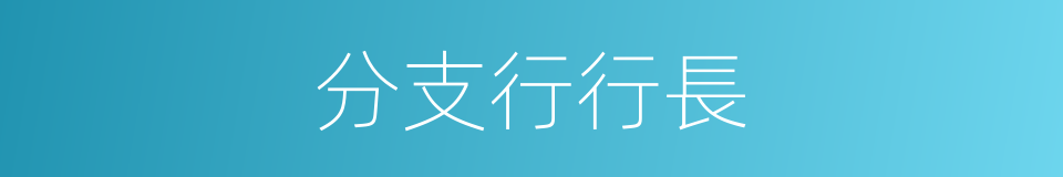 分支行行長的同義詞