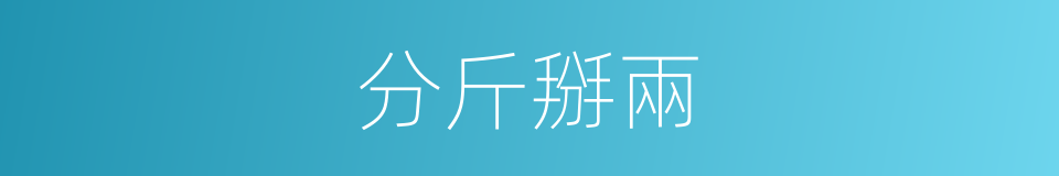 分斤掰兩的意思
